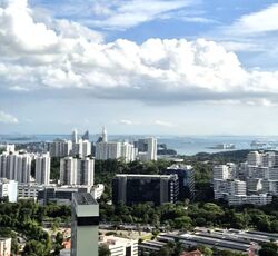 Stirling Residences (D3), Apartment #563313971